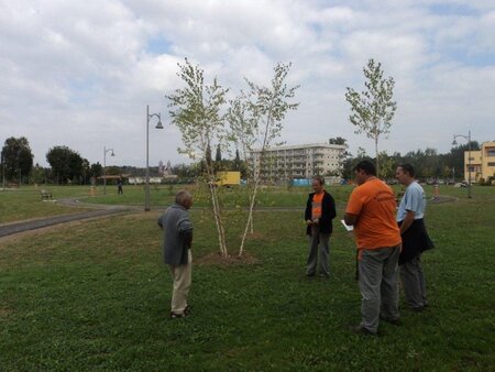 Delavnica - Park in mesto 6